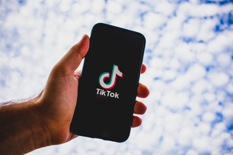 Photo courtesty of Pixabay. TikTok is an app nearly everyone has in this day and age. 