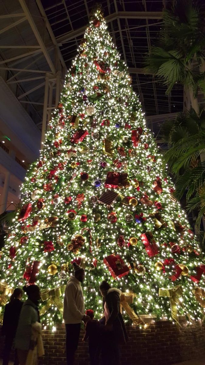 A Christmas tree in the center of Opryland