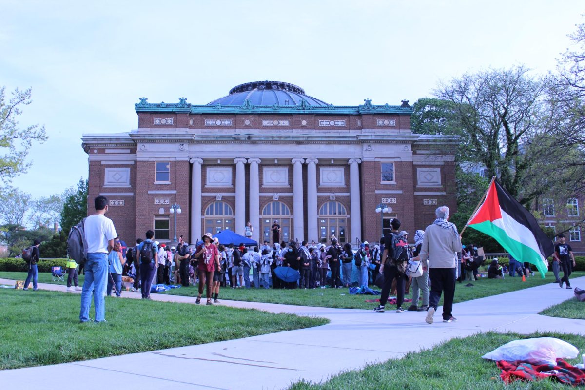Students hold Palestinian flags while in front of the Foellinger Auditorium in the main quad allowing for many other students to see them.