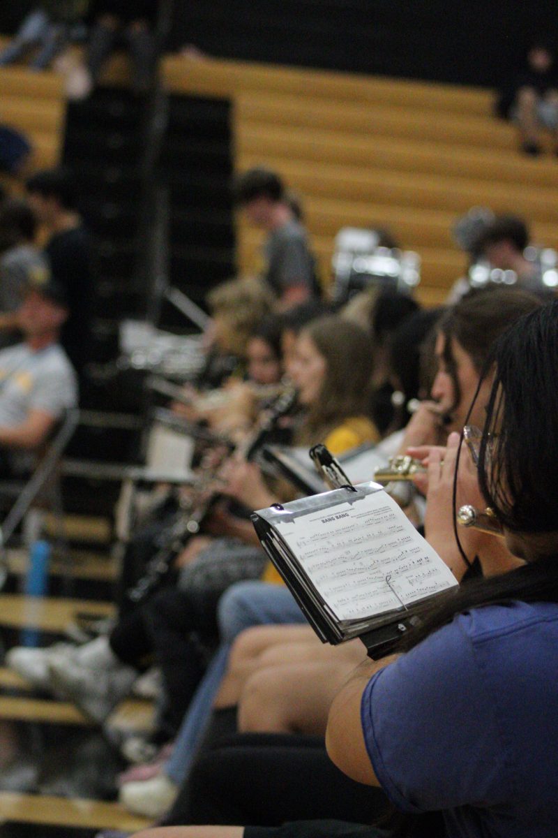 The members of band playing the music at the assembly to help heighten the mood, which many people in the assembly didn't notice due to the other performances happening at the time such as homecoming court and cheerleading.