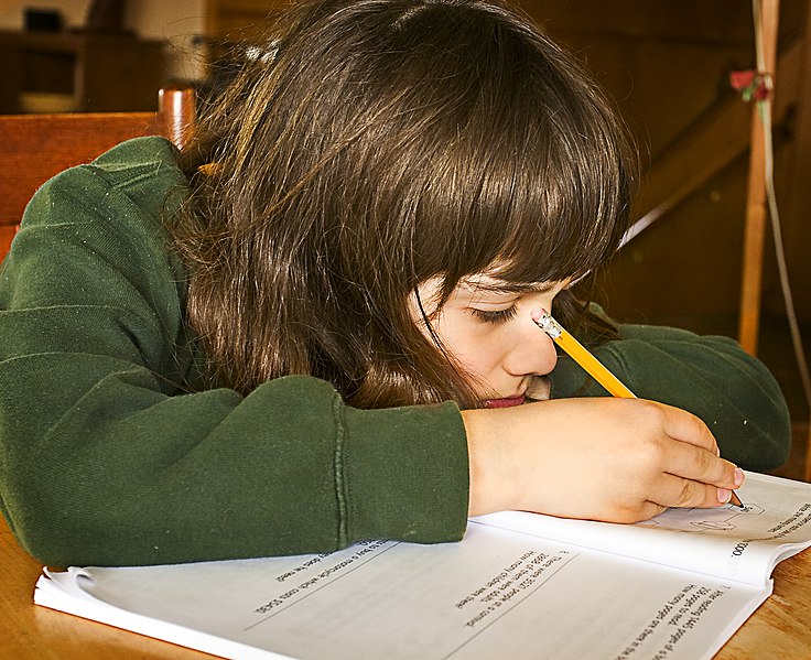 Boy Doing Homework