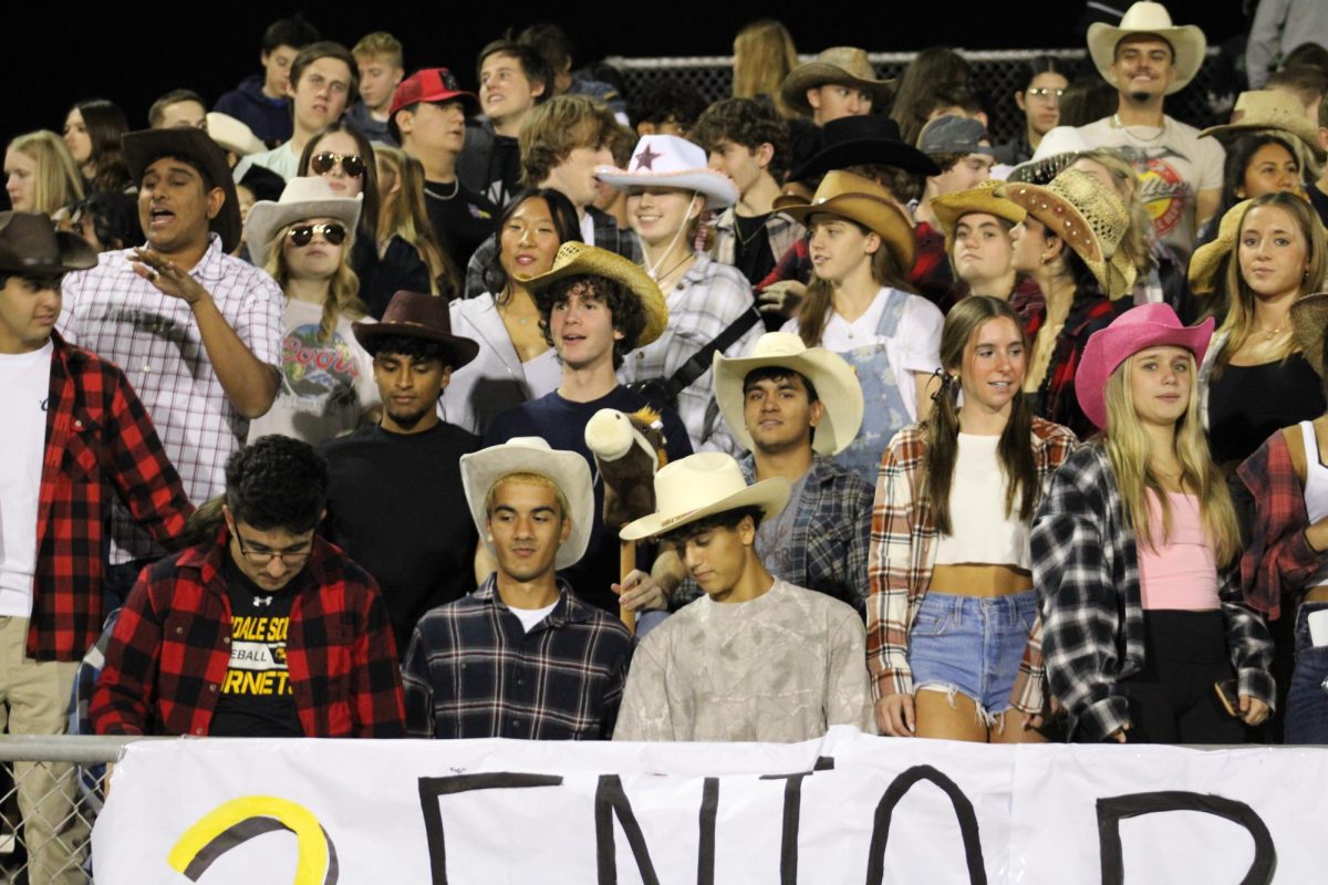 Student Section at Varsity vs Proviso East Home Game