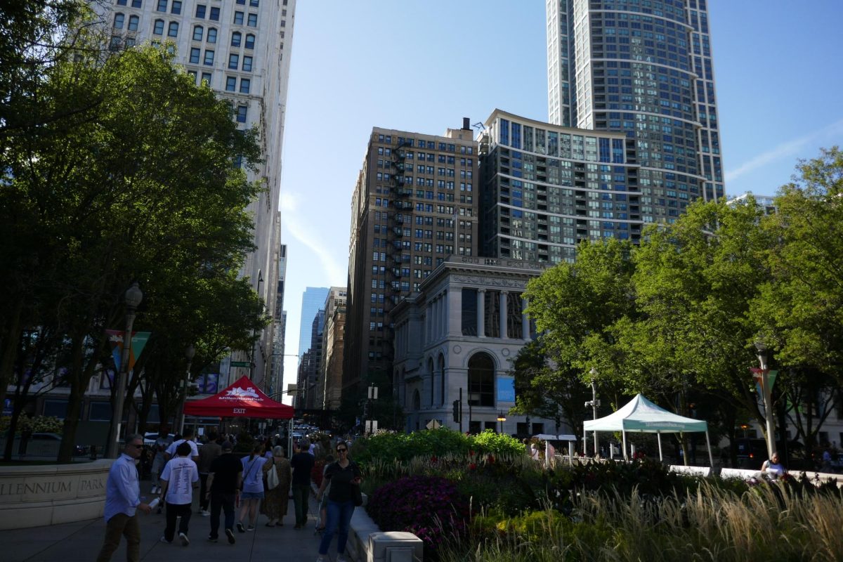 View of the City of Chicago
