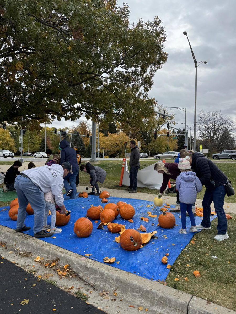 During the Pumpkin Smash, many members of the community came out to smash their own rotten pumpkins.